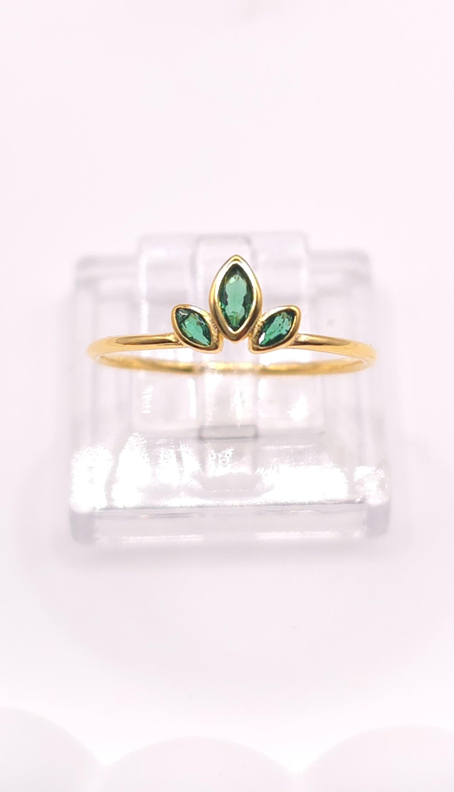 Anillo Zeva