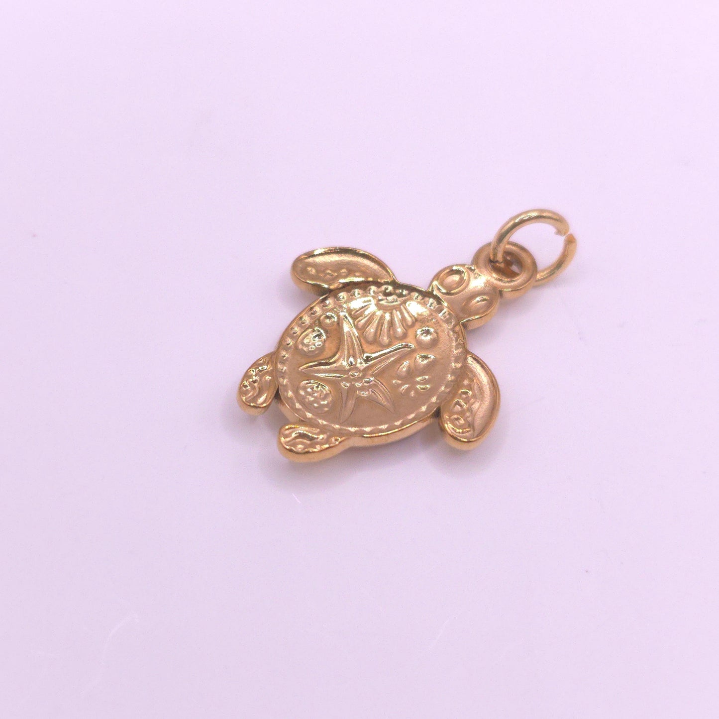 Charm Galápagos