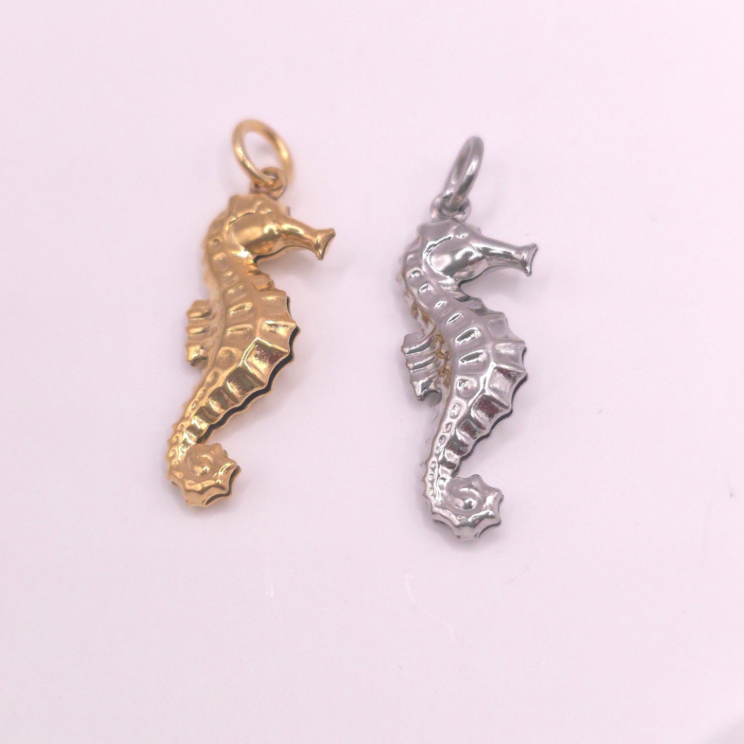 Charm caballito