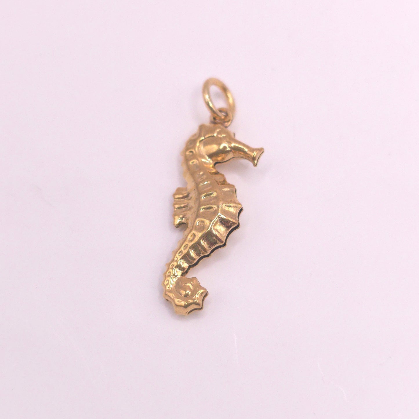 Charm caballito