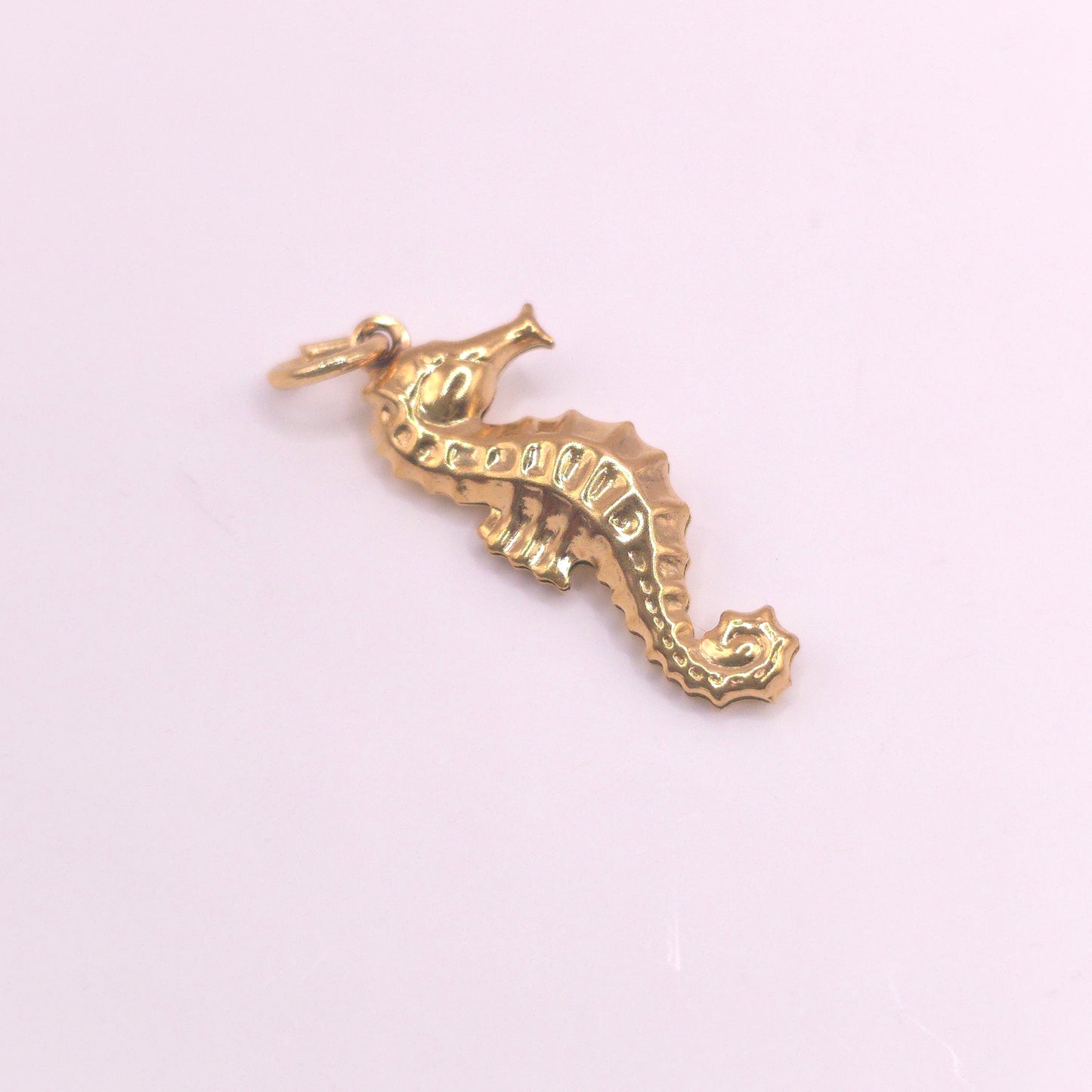 Charm caballito
