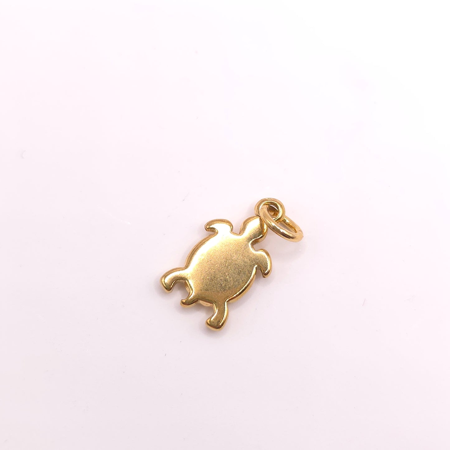 Charm Tortuga 🐢