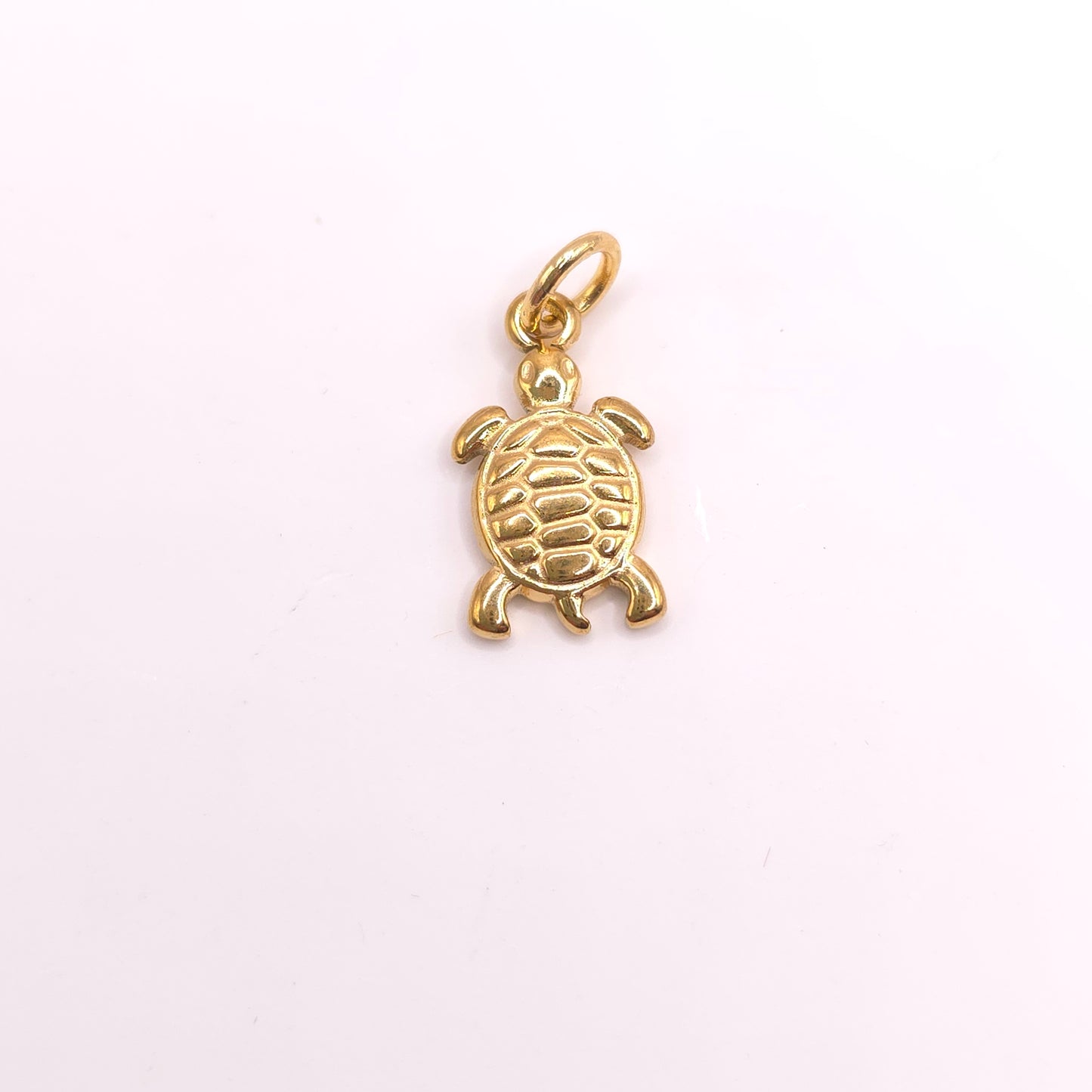 Charm Tortuga 🐢