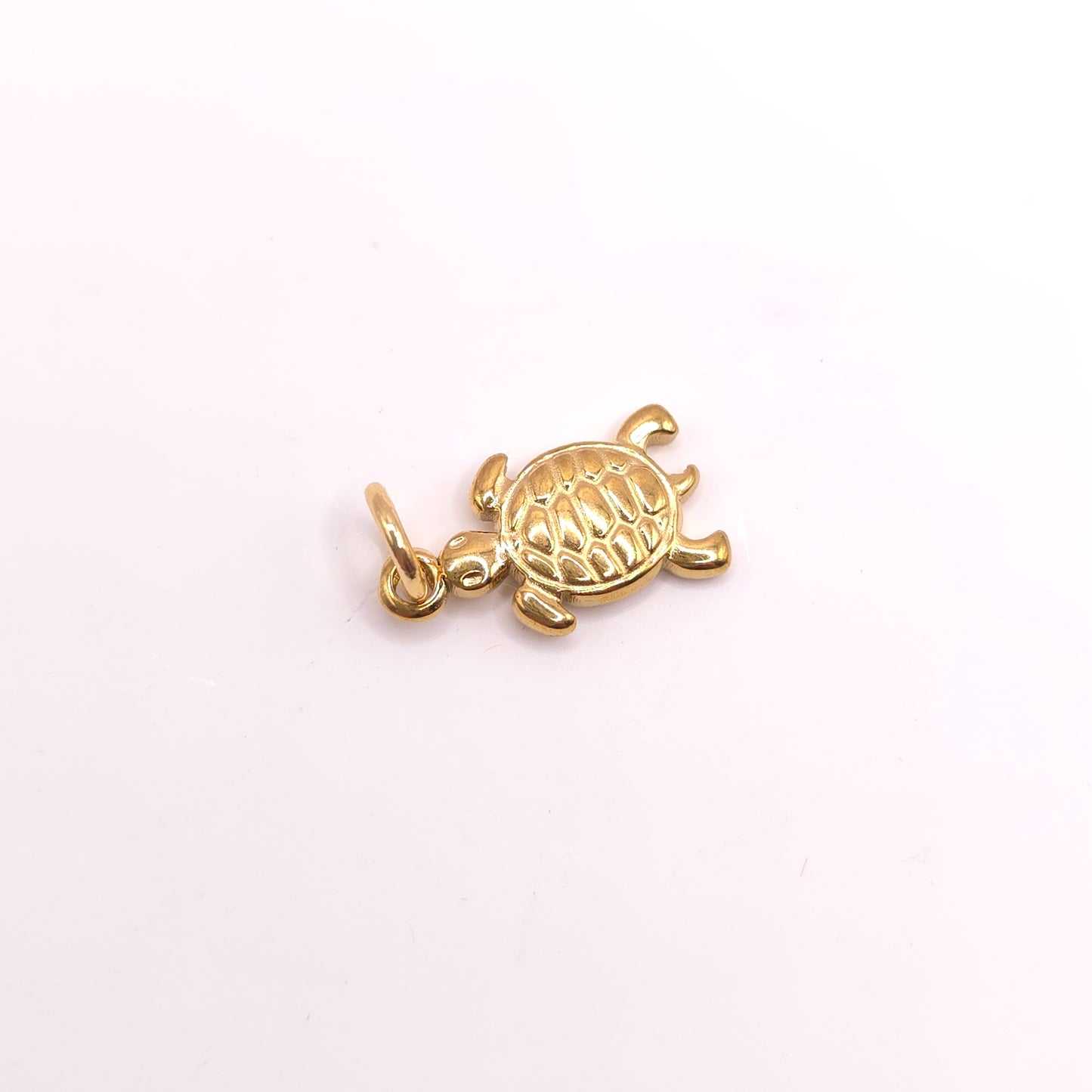 Charm Tortuga 🐢
