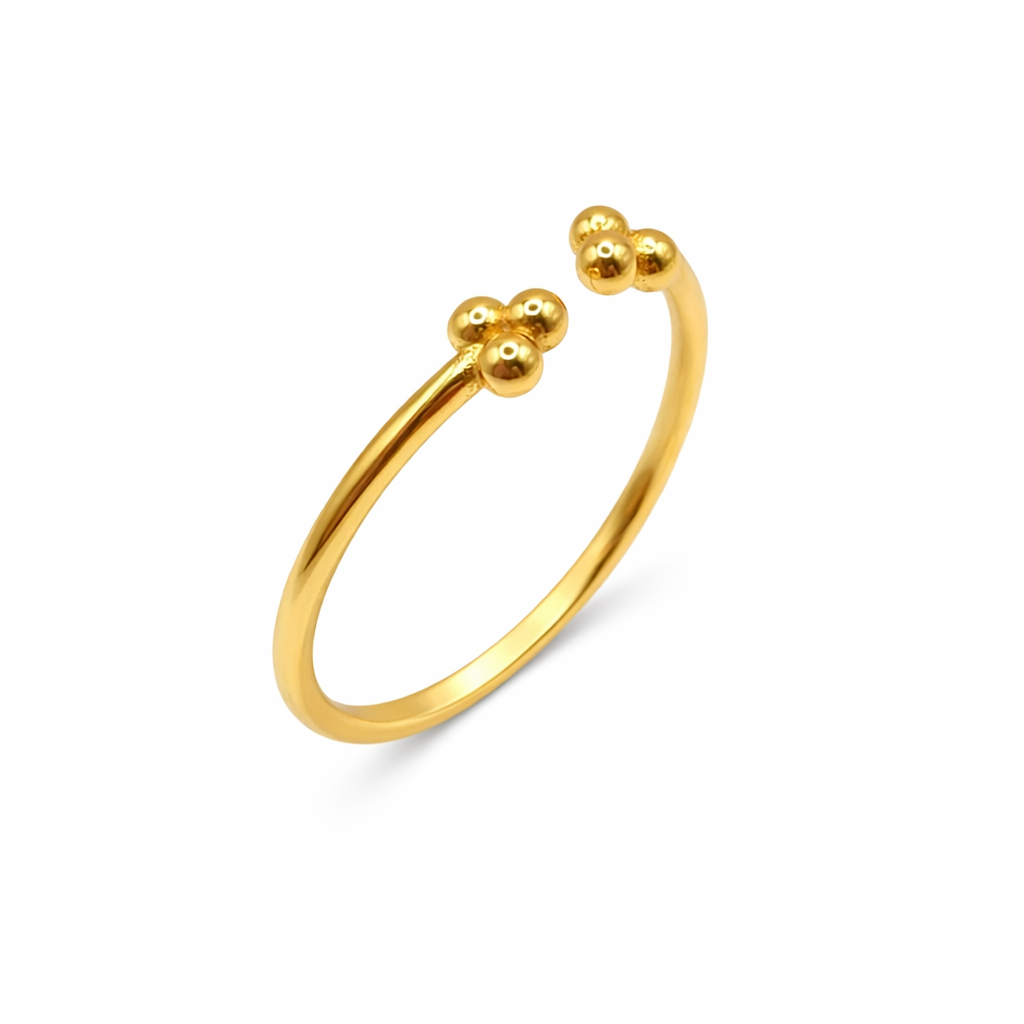 Anillo brid