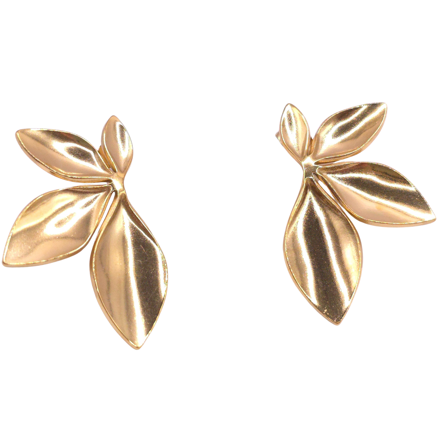 Pendientes Exotic🌿