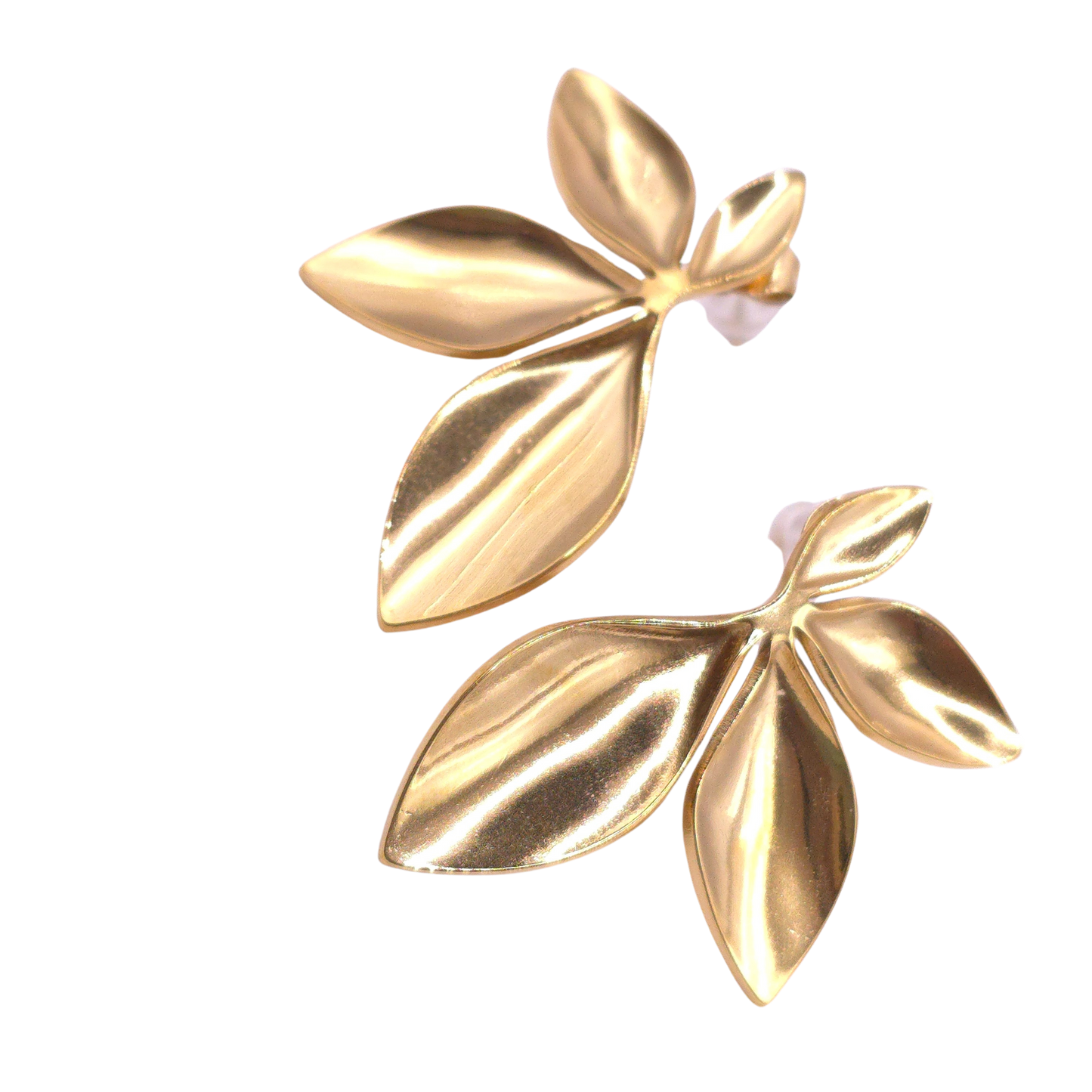 Pendientes Exotic🌿