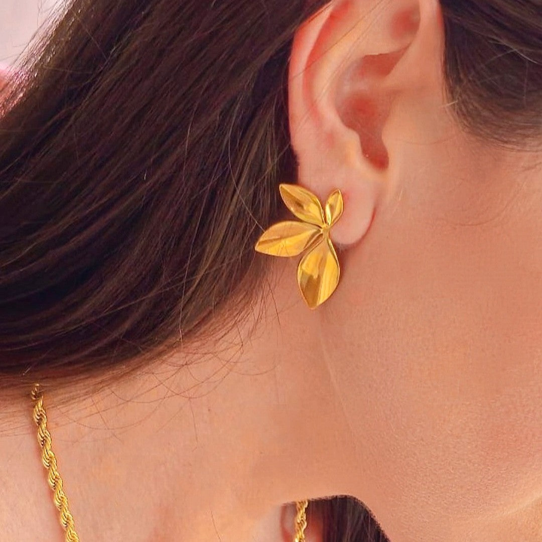 Pendientes Exotic