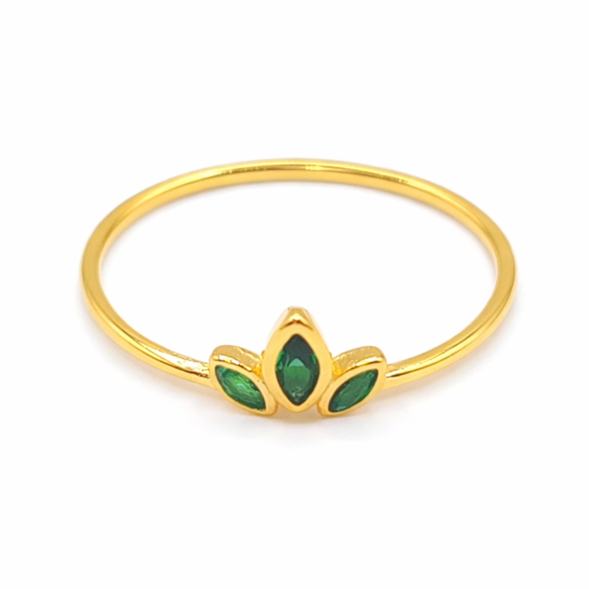 Anillo Zeva