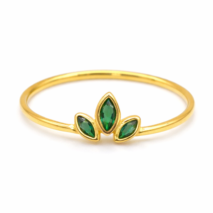 Anillo Zeva