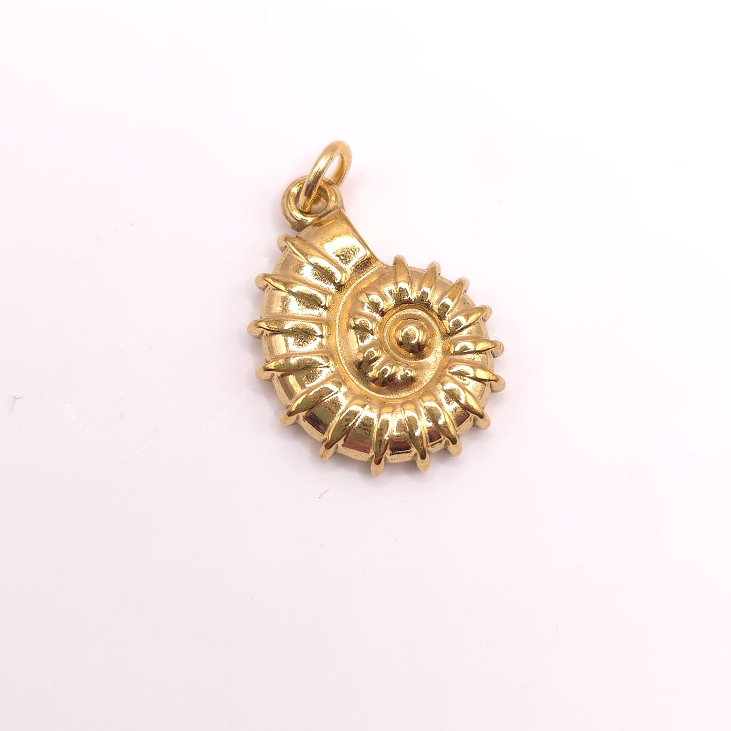 Charm Caracolea