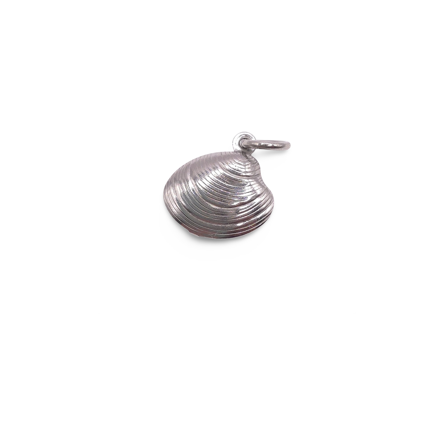 Colgante Coquina