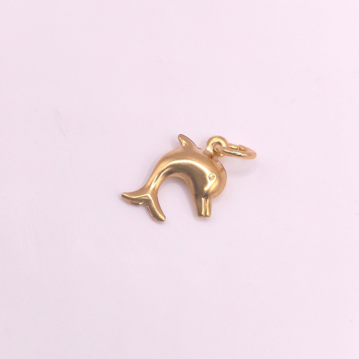 Charm Delfino