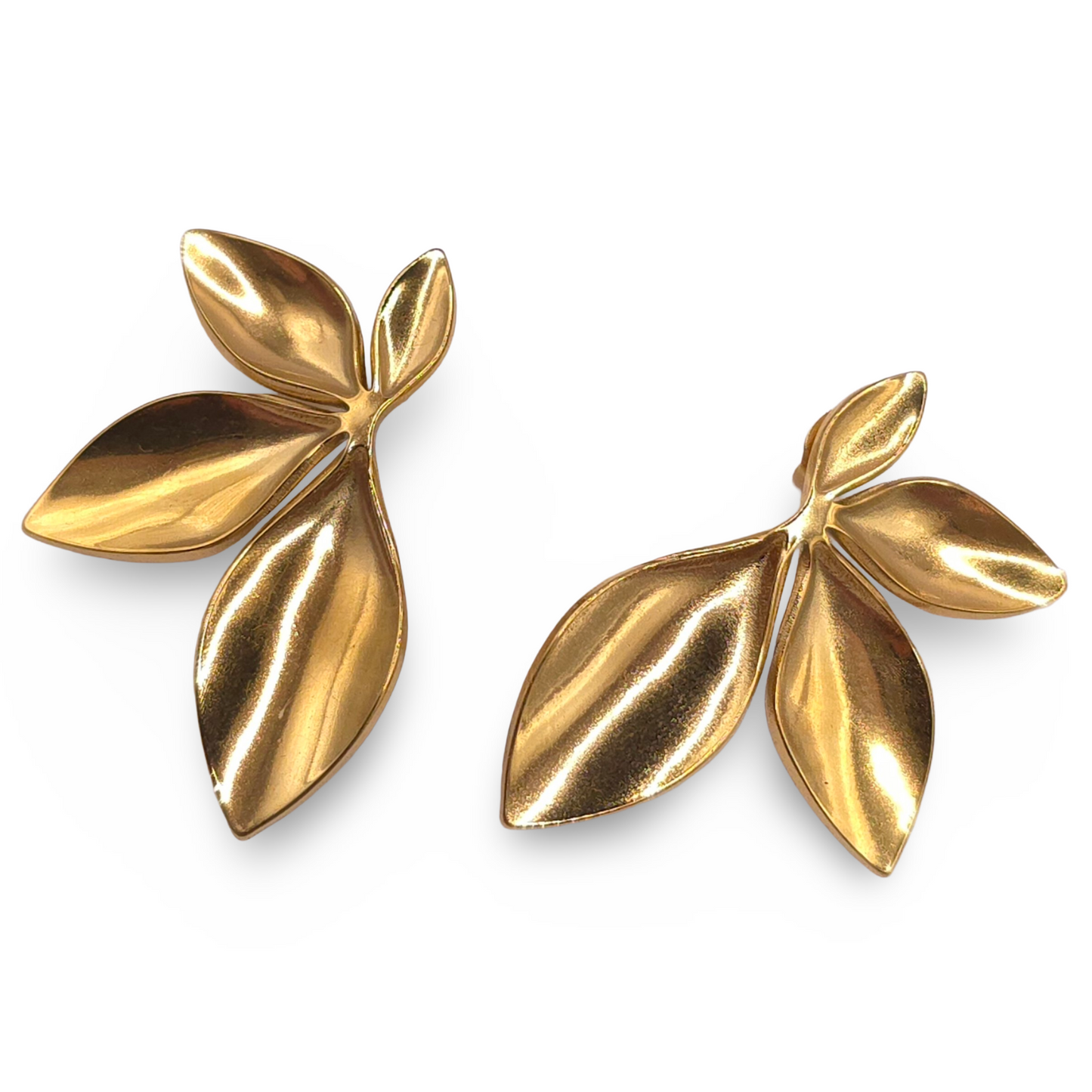 Pendientes Exotic