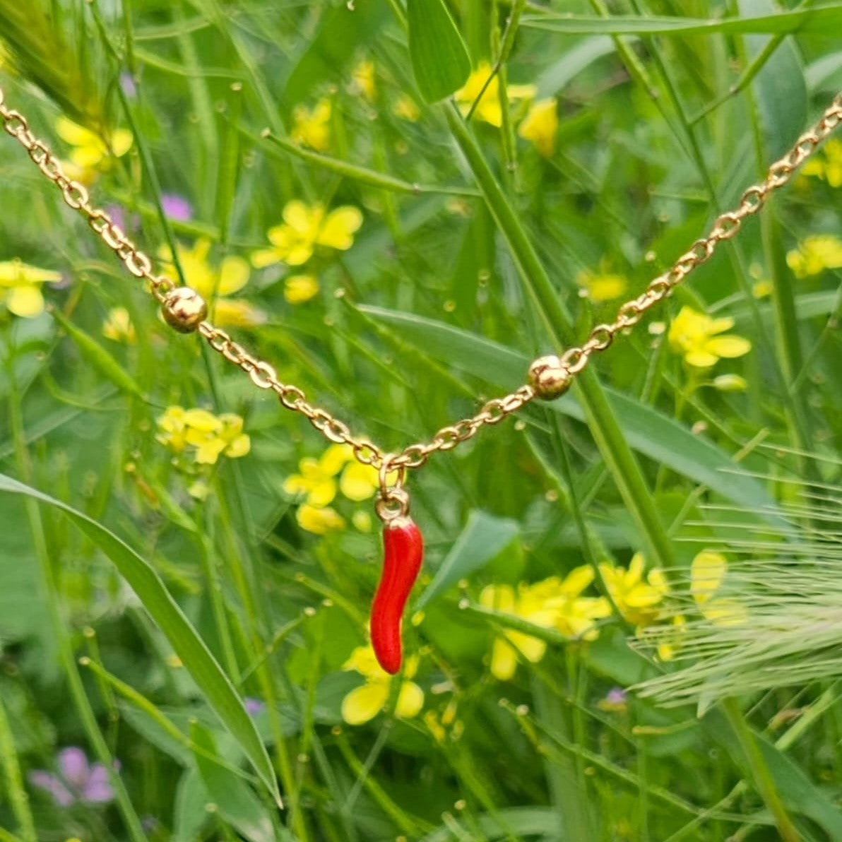 Gargantilla Corneza