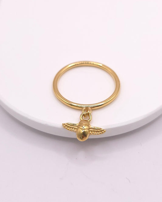 Anillo Jepri