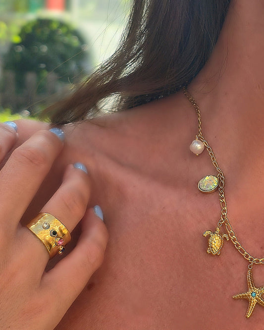 Anillo Energia