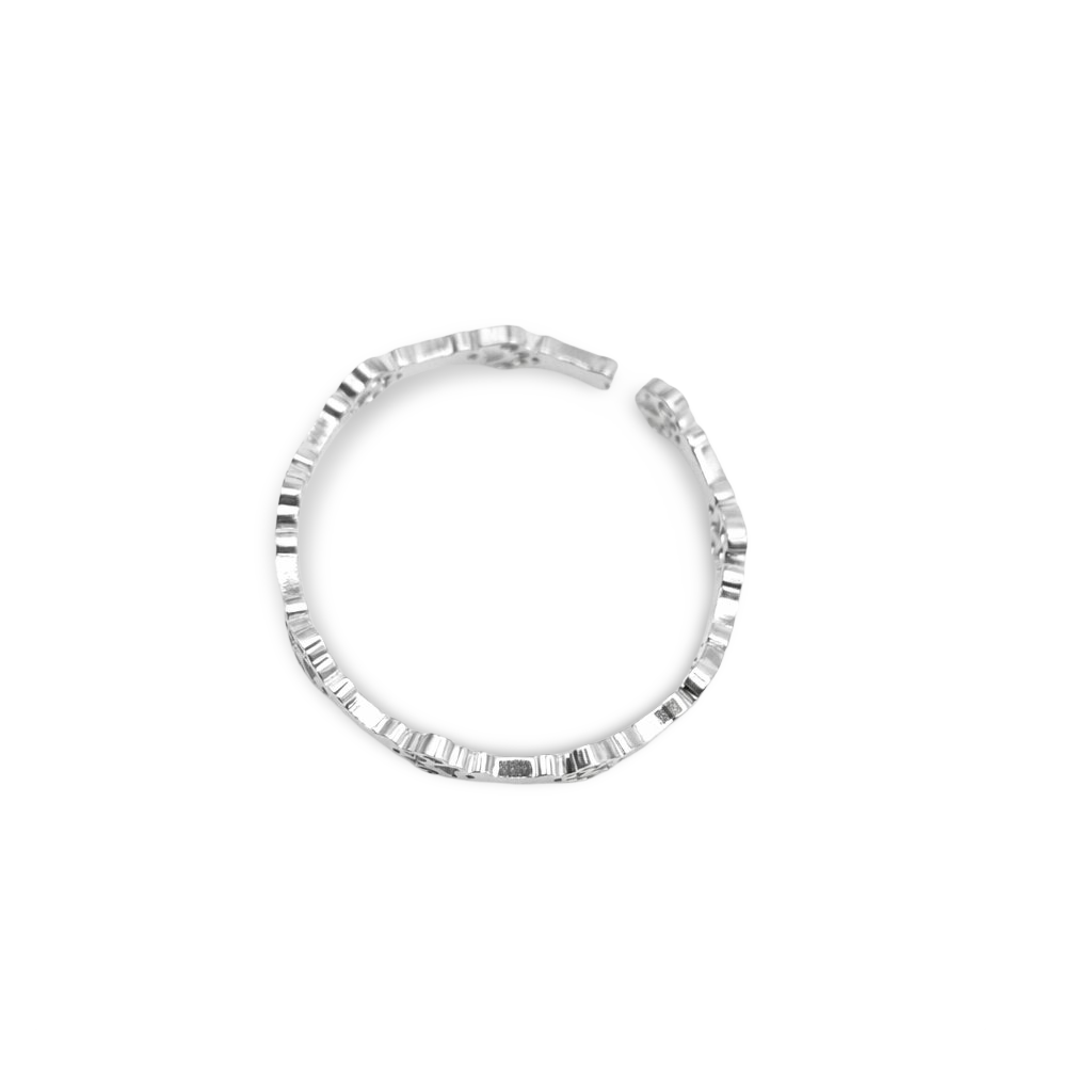 Anillo Anubis