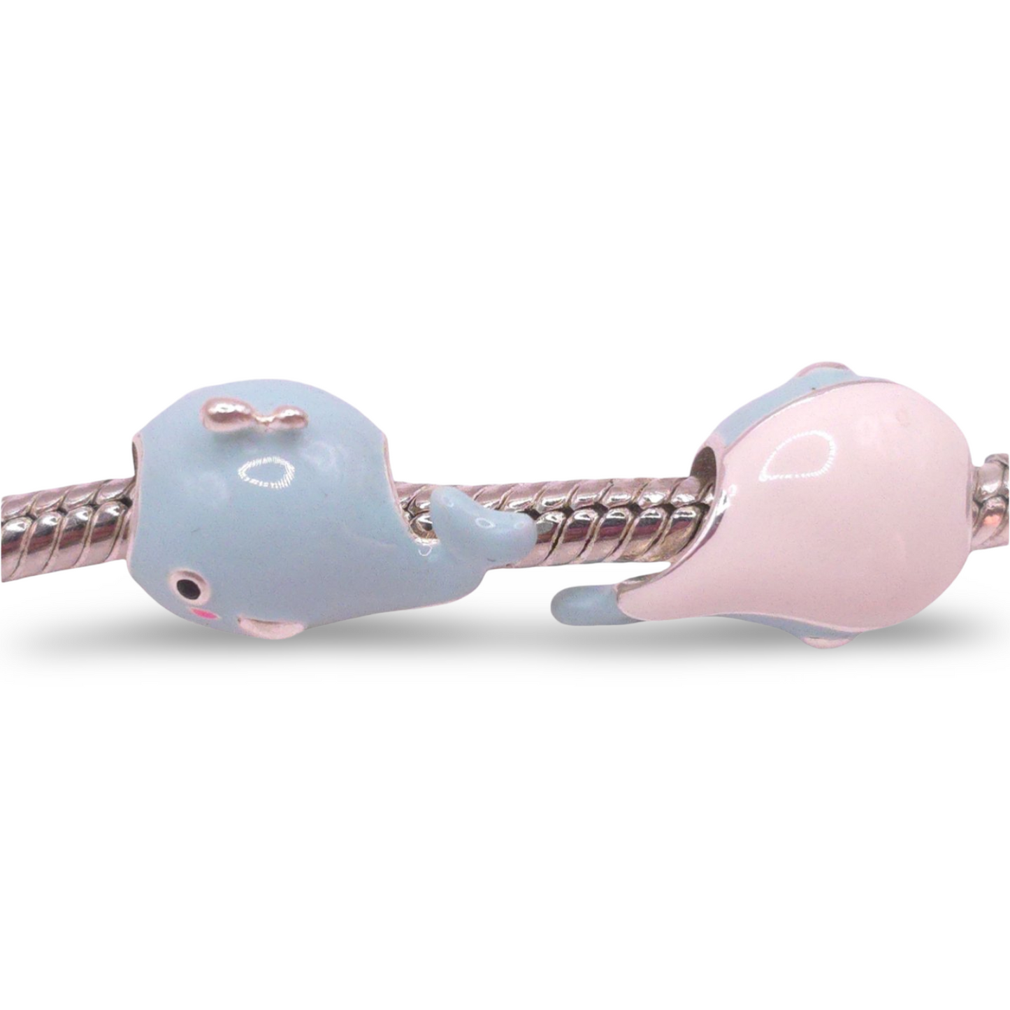 Charm Ballena