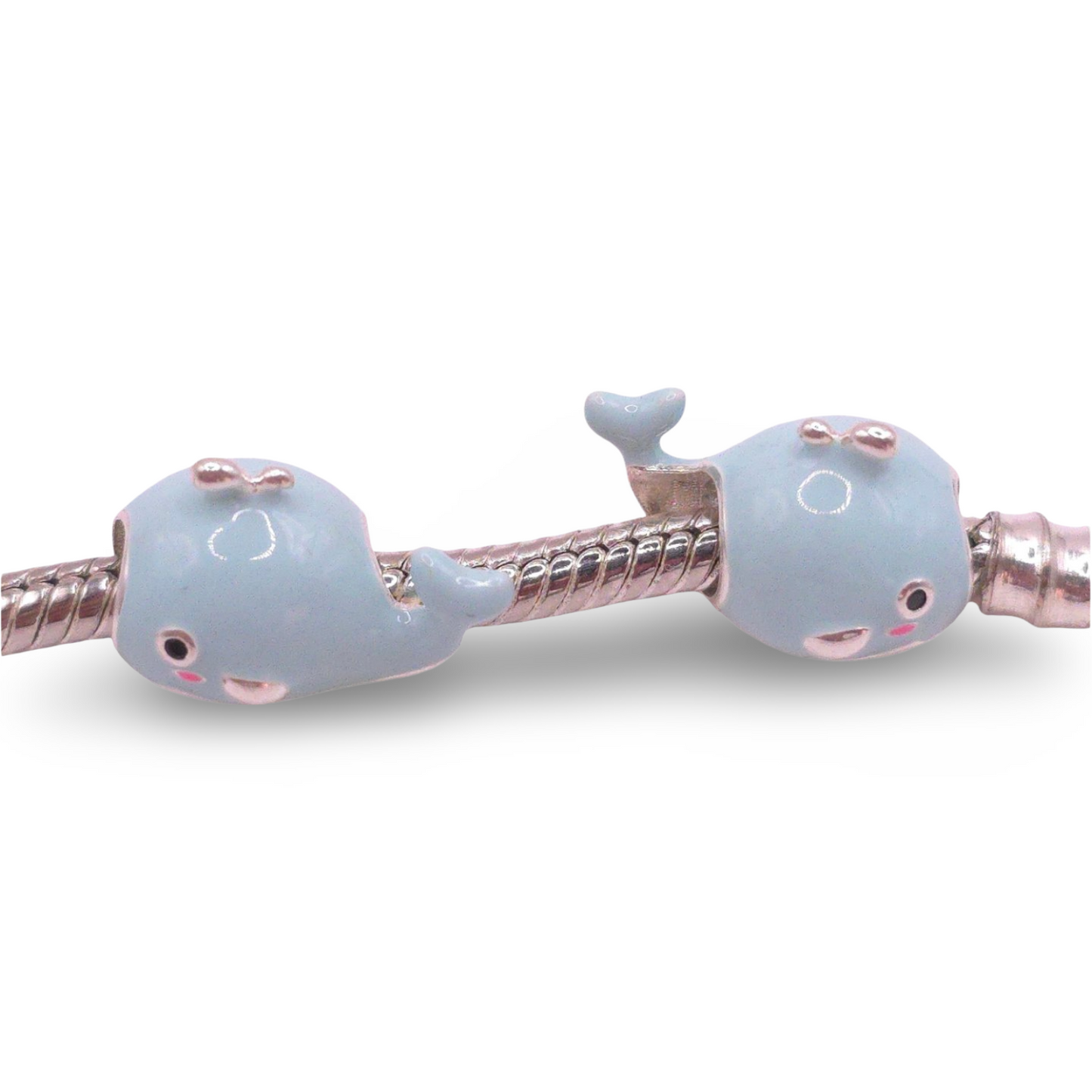 Charm Ballena