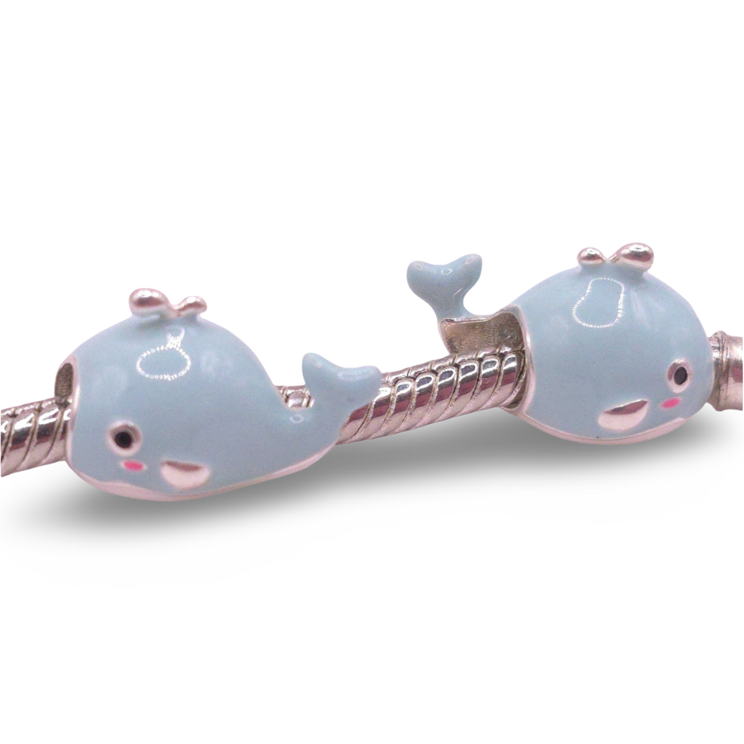 Charm Ballena