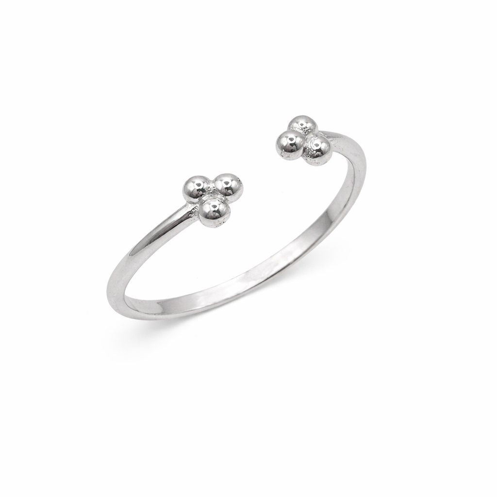 Anillo brid