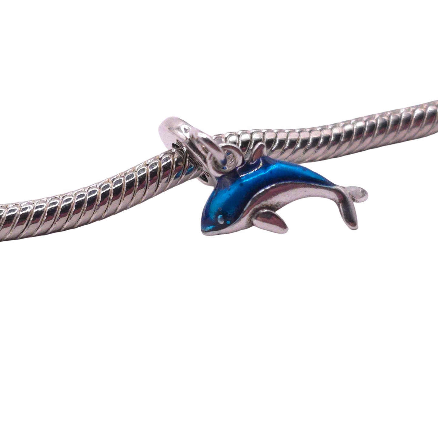 Charm Delfin