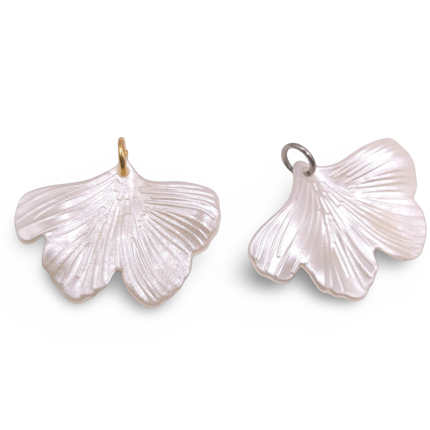 Gingko