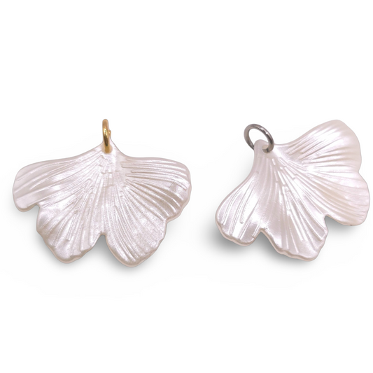Gingko