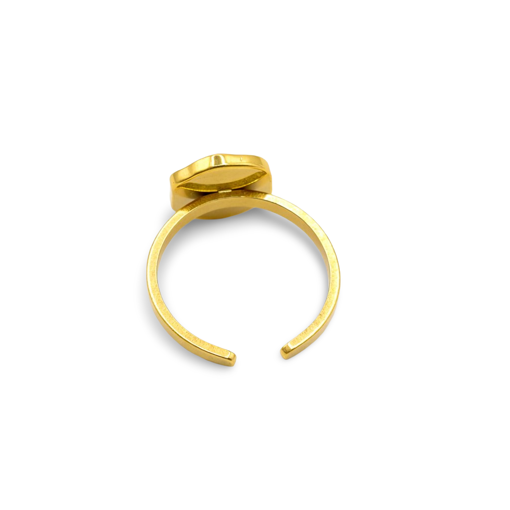 Anillo Seda