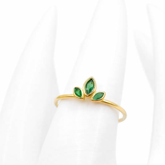Anillo Zeva